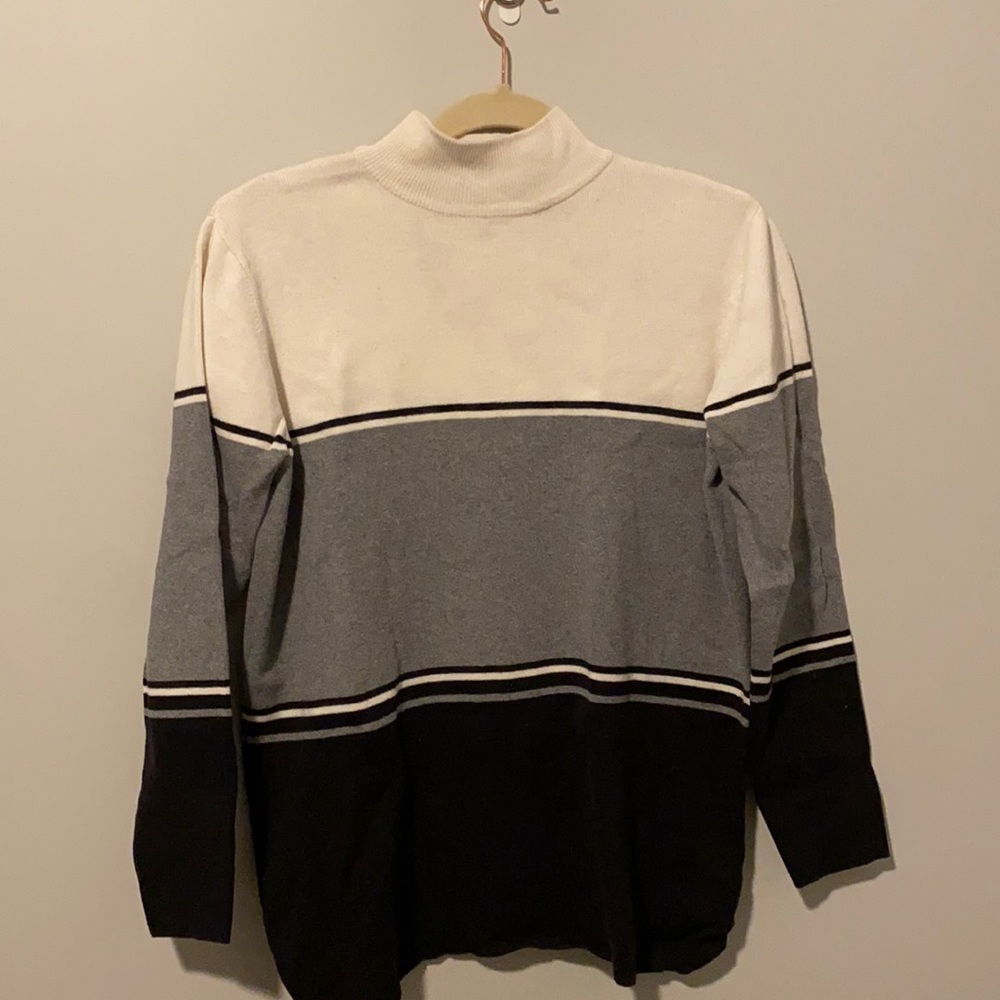 Men’s colorblock Turtleneck